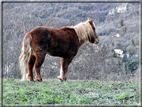 foto Il Monte Melma